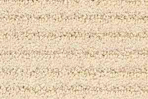 Ковролин Radici Painstripe Avorio 2704 фото  | FLOORDEALER